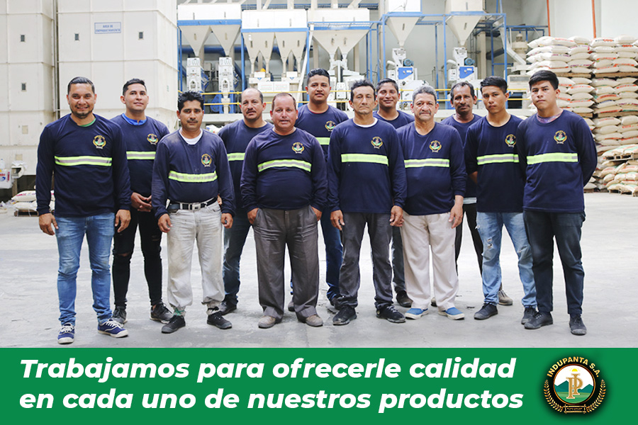Indupanta_equipo_2